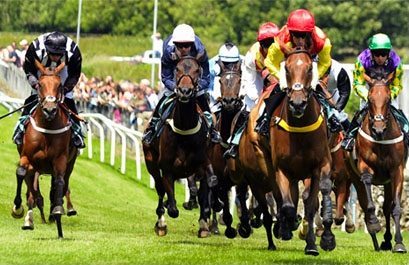 Cartmel races